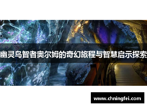 幽灵鸟智者奥尔姆的奇幻旅程与智慧启示探索