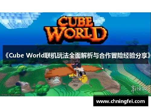 《Cube World联机玩法全面解析与合作冒险经验分享》